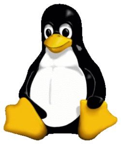 Ismét az első tíz között a Szeresd A Pingvint Linux versenyen